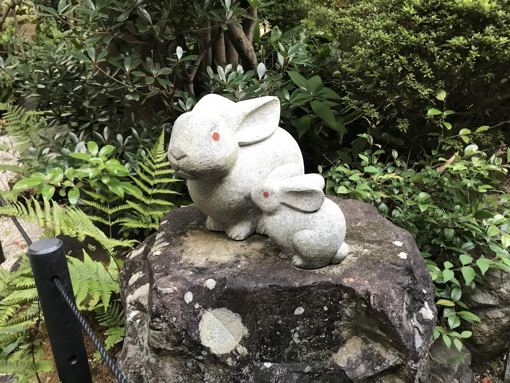 shinbaのプロフィール画像