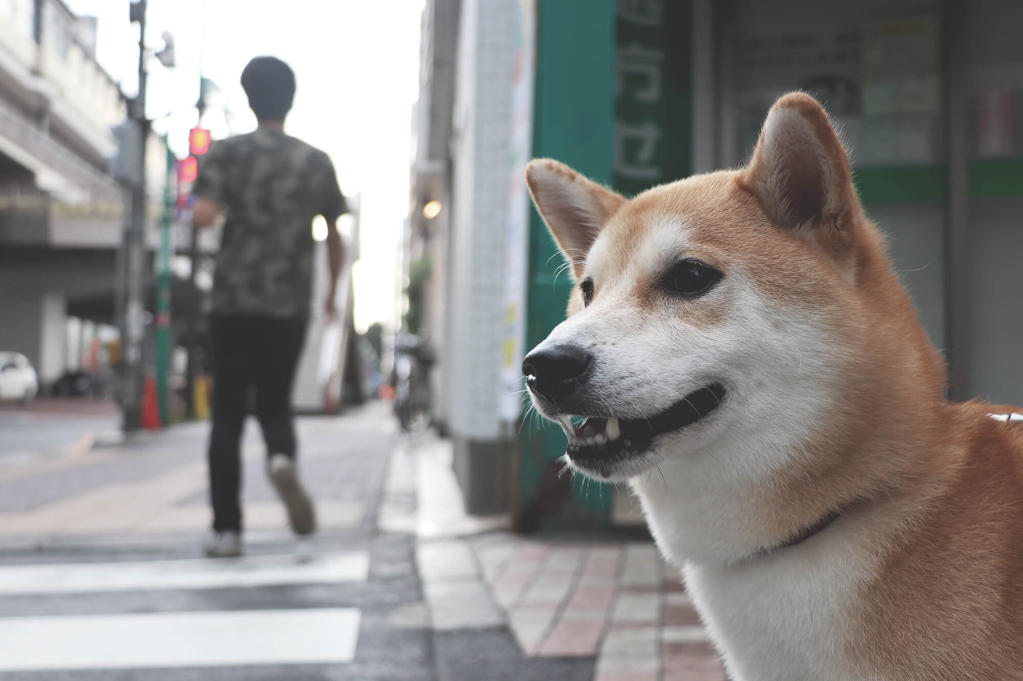記事の画像