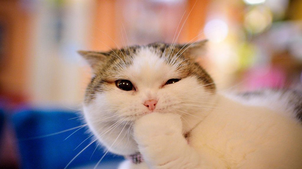 記事の画像