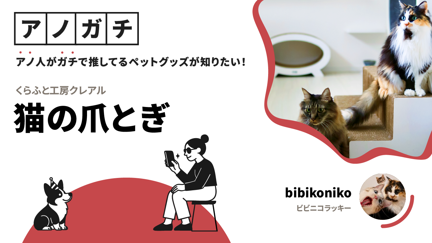 記事の画像