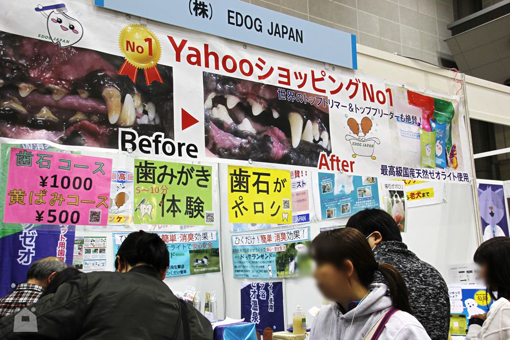 EDOG JAPAN