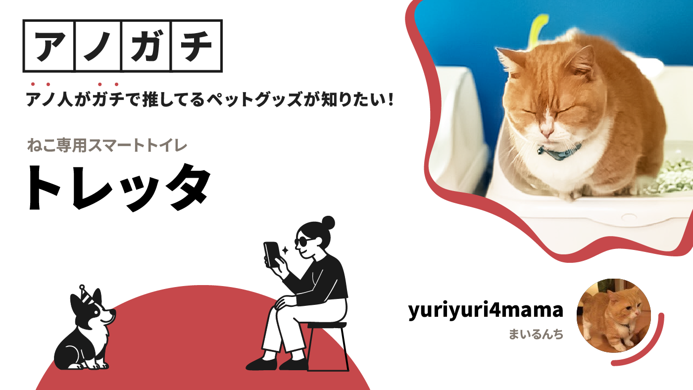 記事の画像