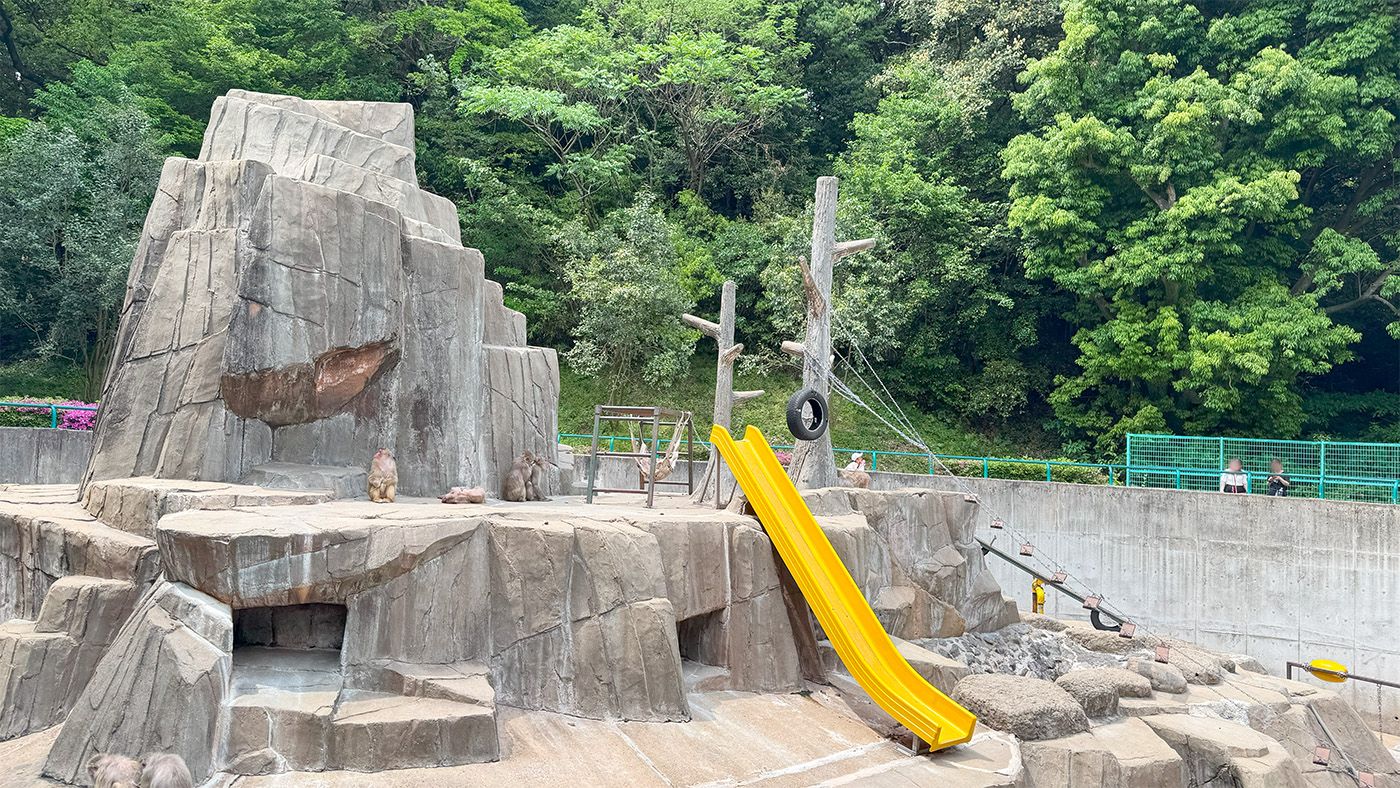 サル山