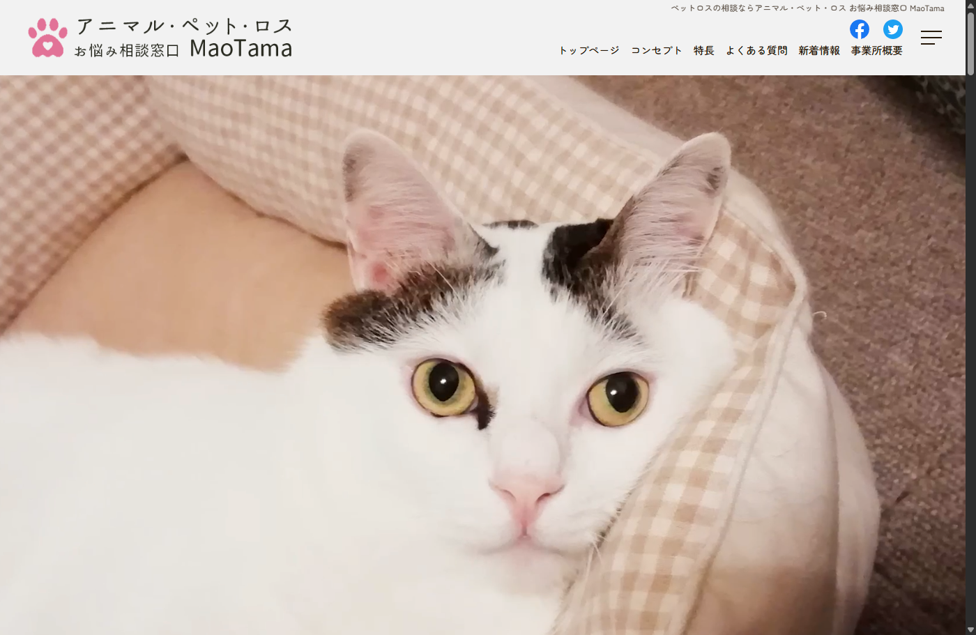 MaoTama