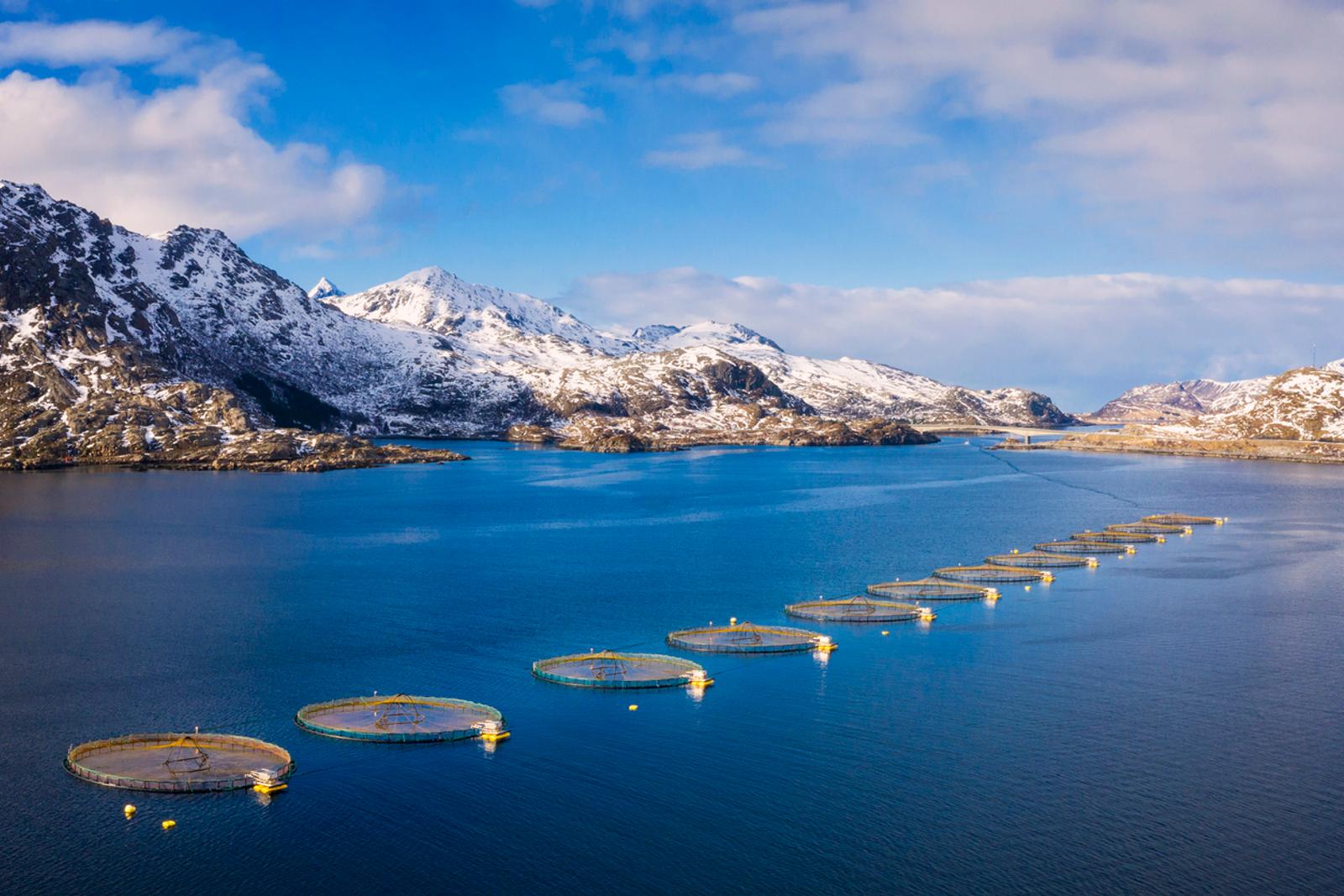 image of salmon farms in water in norway with snowy mountains
