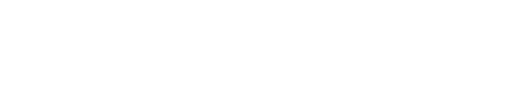 Intelligent Cargo Systems logo