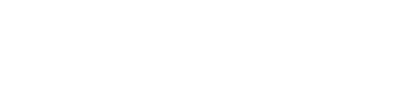 Intelligent Cargo Systems logo