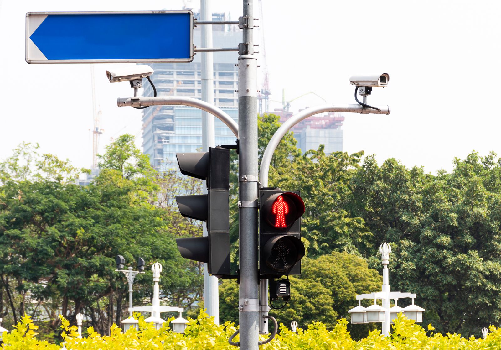 Traffic light with pedestrian traffic cameras