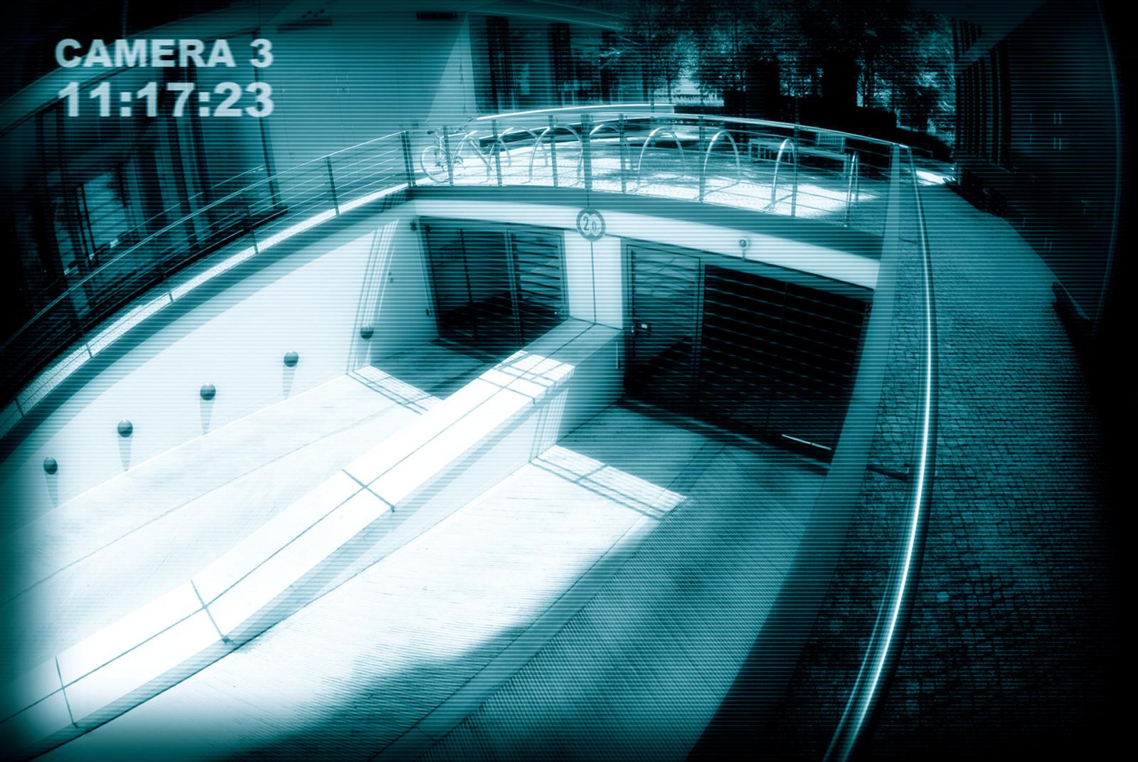 Security Monitor garage entry