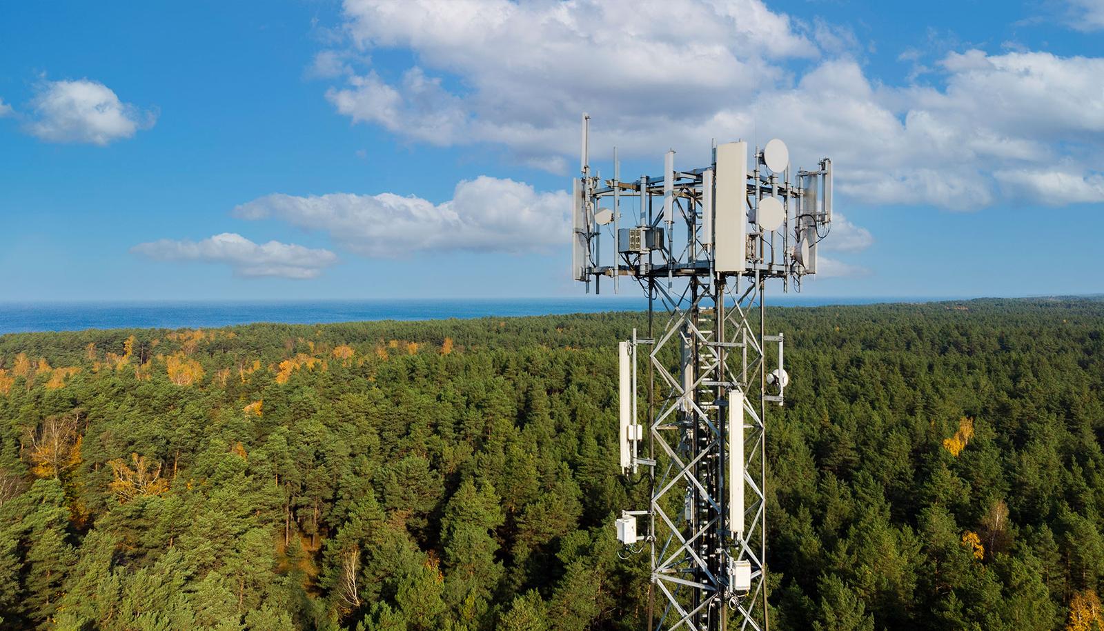 cell tower in the forest