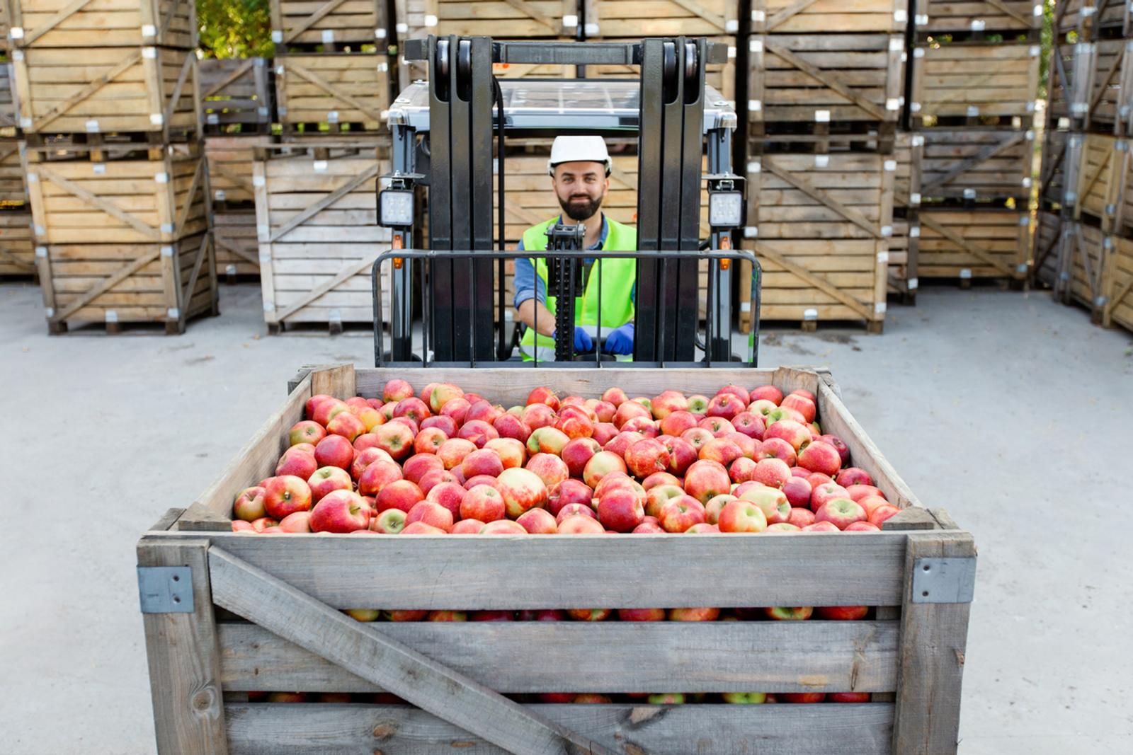 Fruit in crate at shipping dock