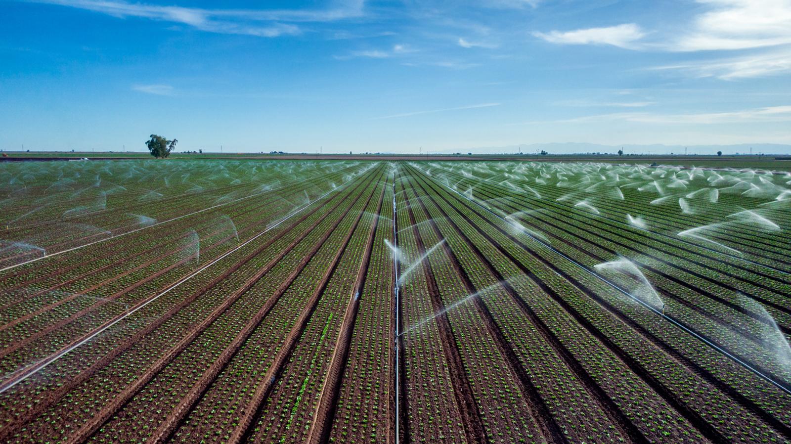 Crops Being Watered in South Eastern California