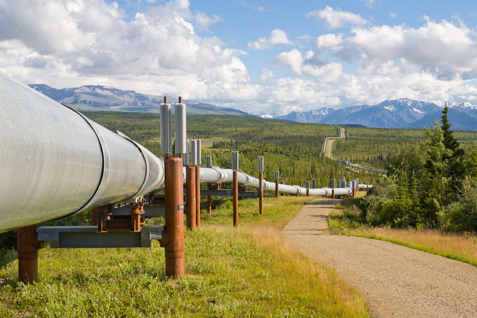 TransAlaskan pipeline with mountains