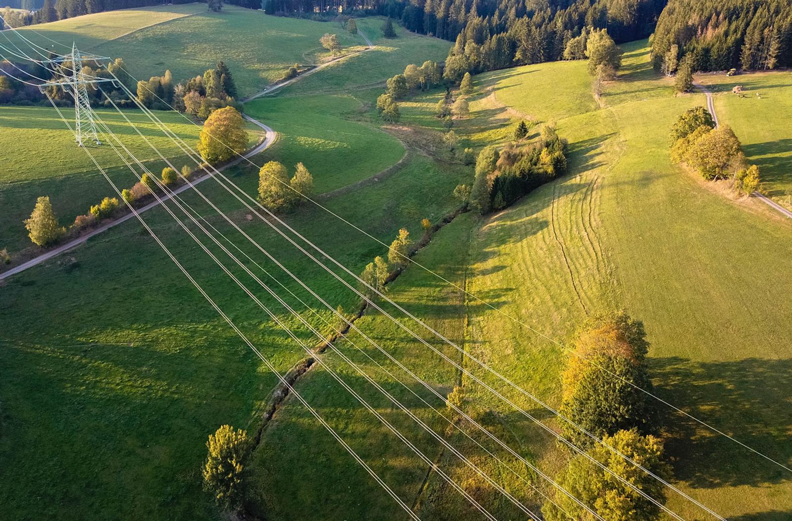 Agricultural fields and electricity lines. Titisee-Neustadt, Black Forest, Germany