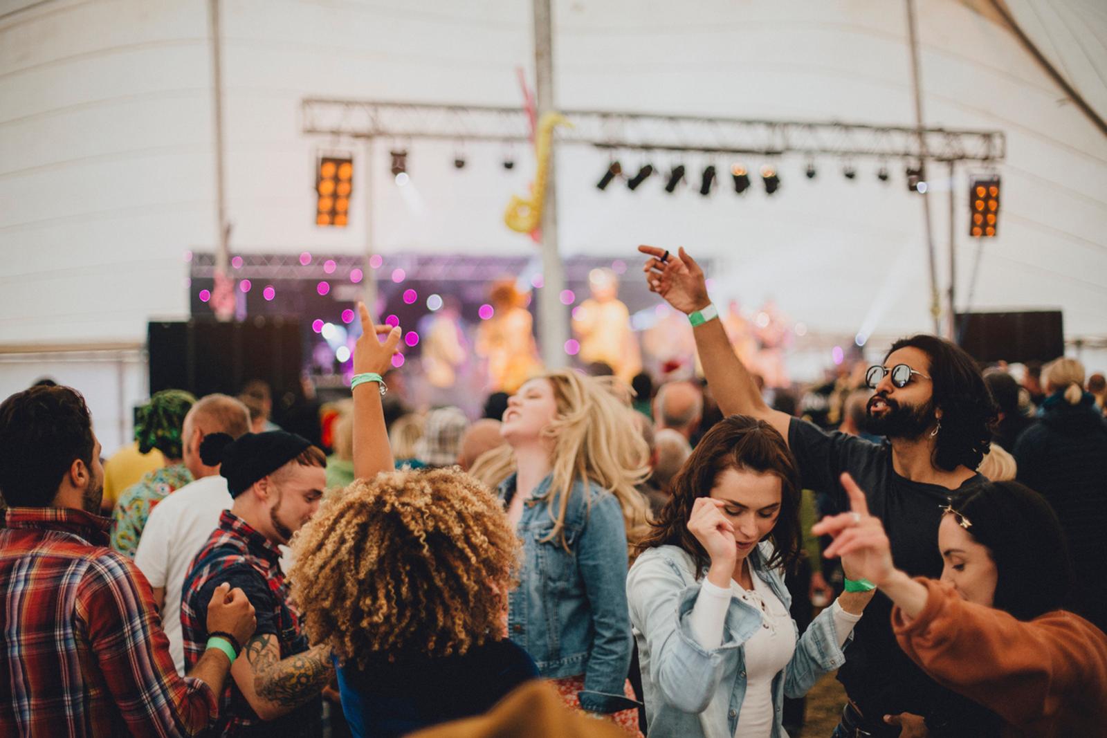 A group of fans dancing to the music at a concert