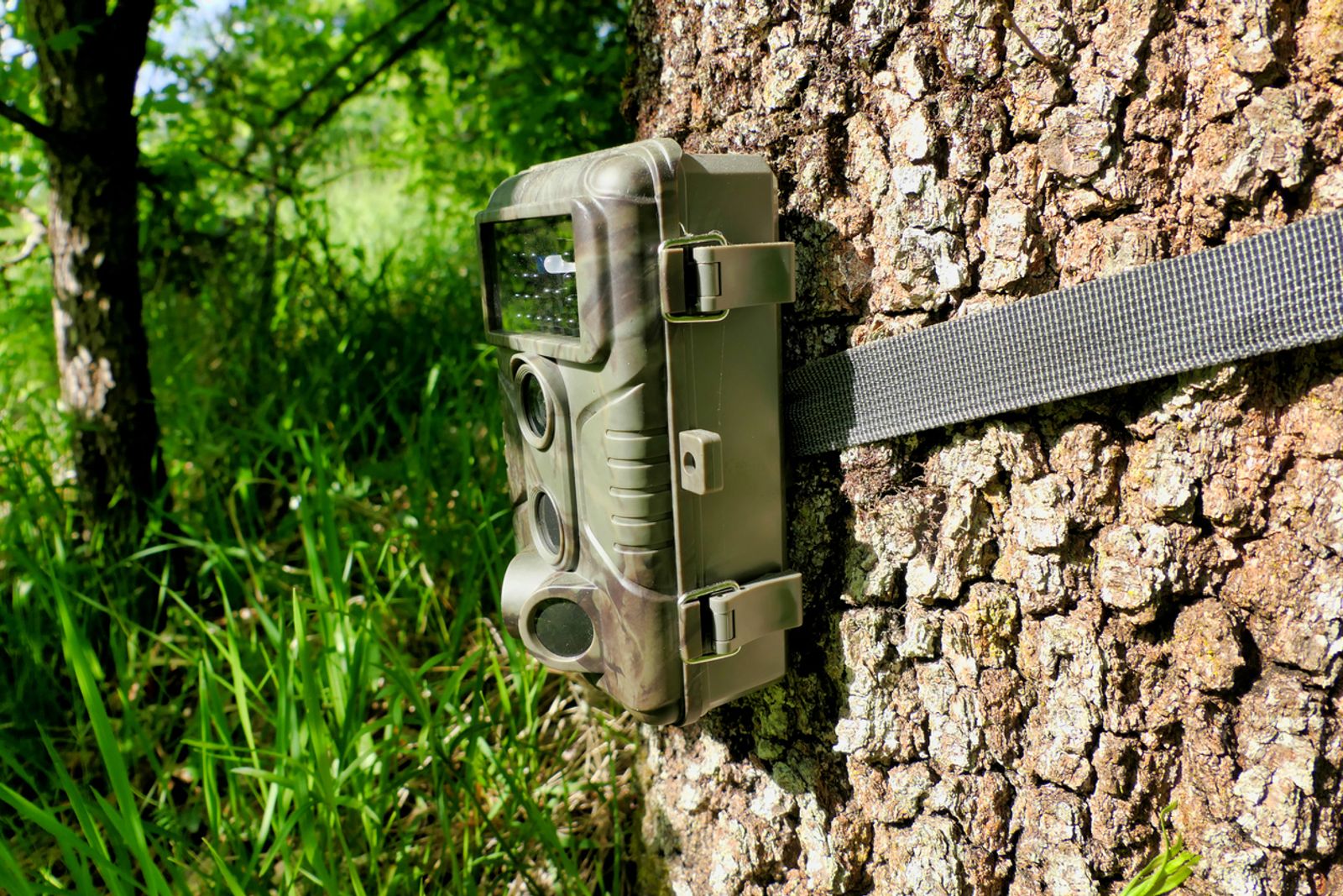 trail camera