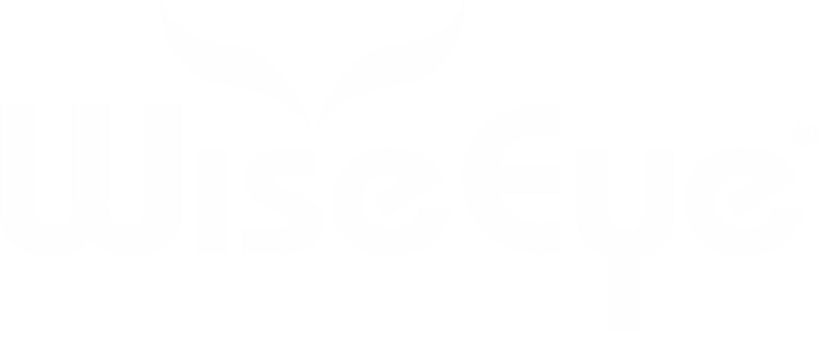 WiseEye Technology