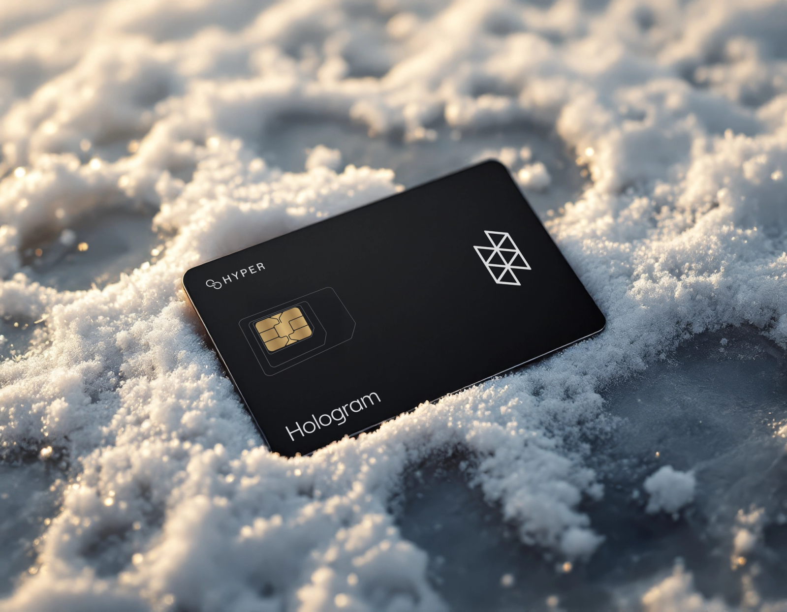 hologram cellular IoT SIM card in snow