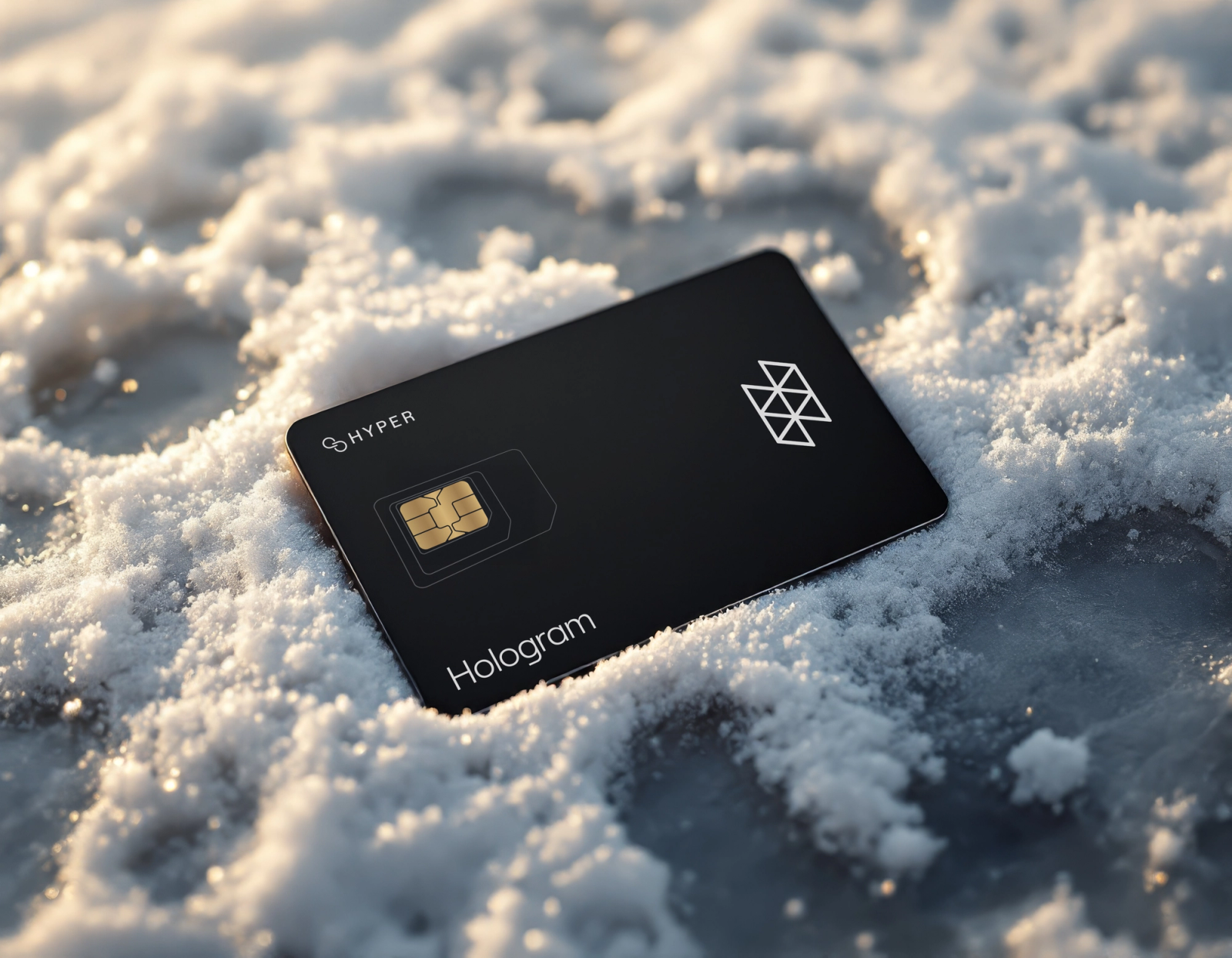 hologram cellular IoT SIM card in snow