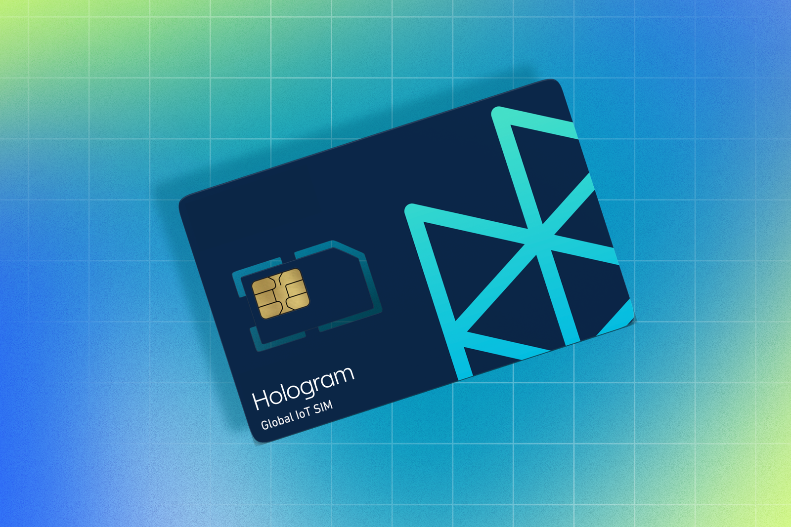 Hologram IoT SIM Card