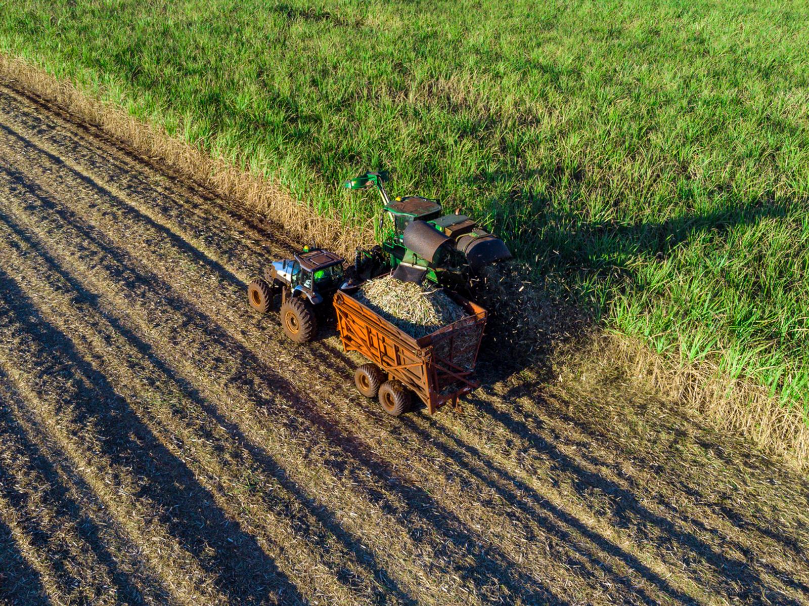 Aerial sugarcane field in Brazil with tractor