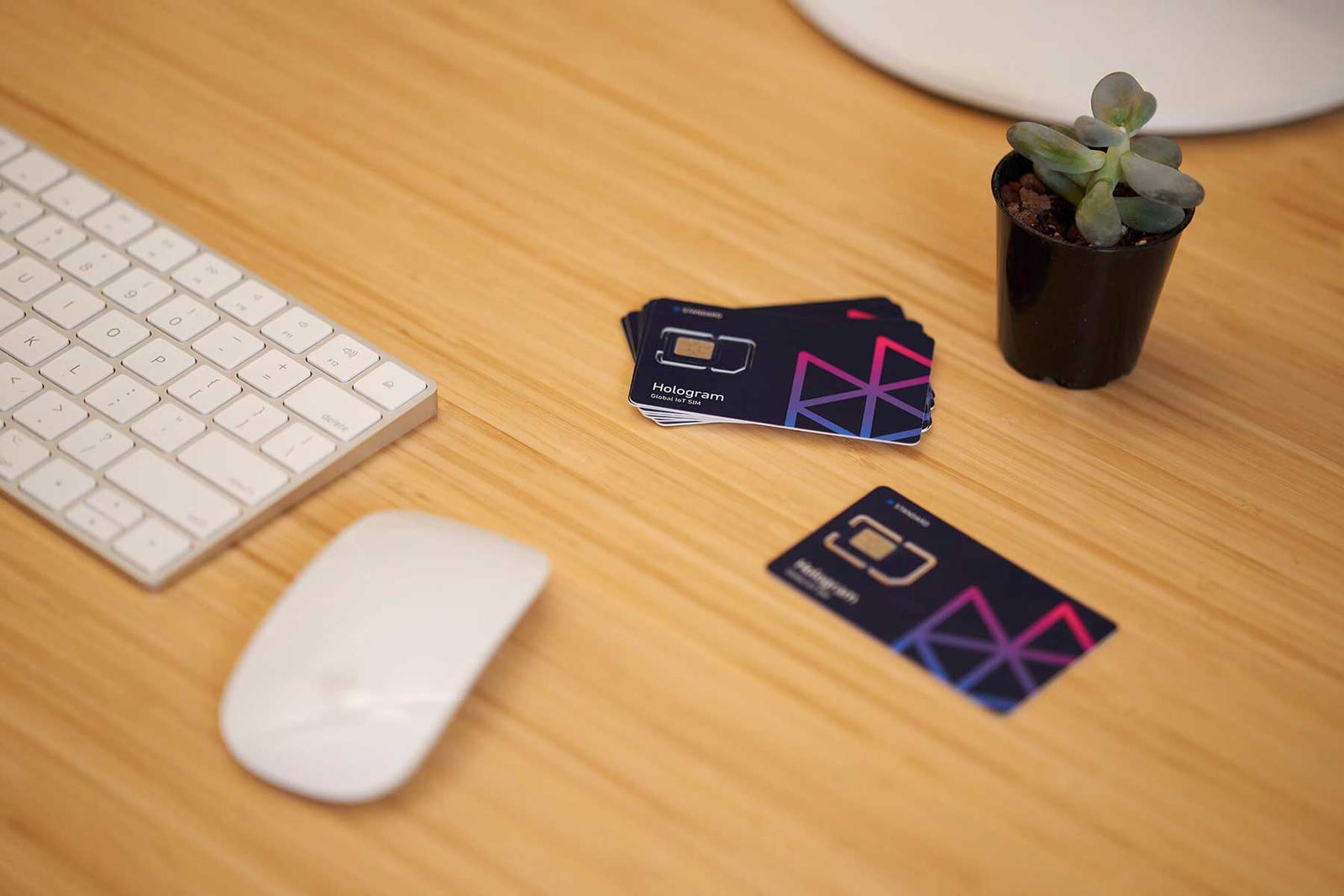 Two SIM cards on a desk next to a keyboard, mouse, and succulent