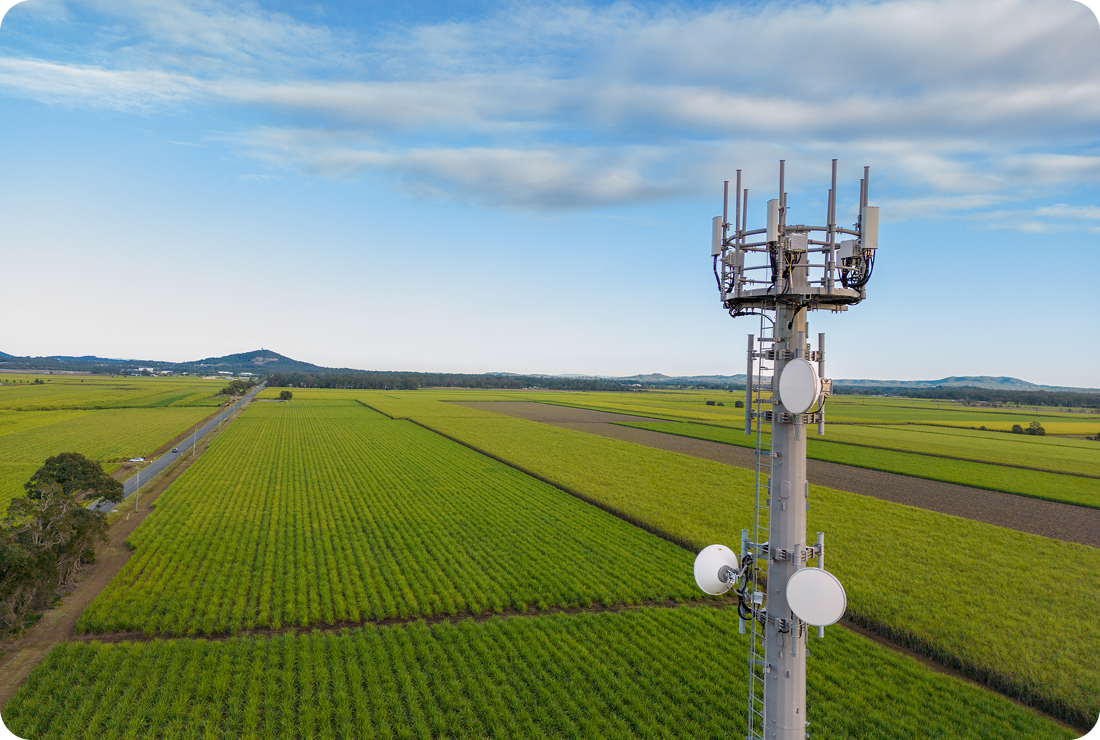 5G tower near a sugar cane farm