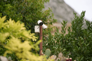 Security cameras in a garden