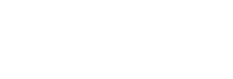 Intelligent cargo systems
