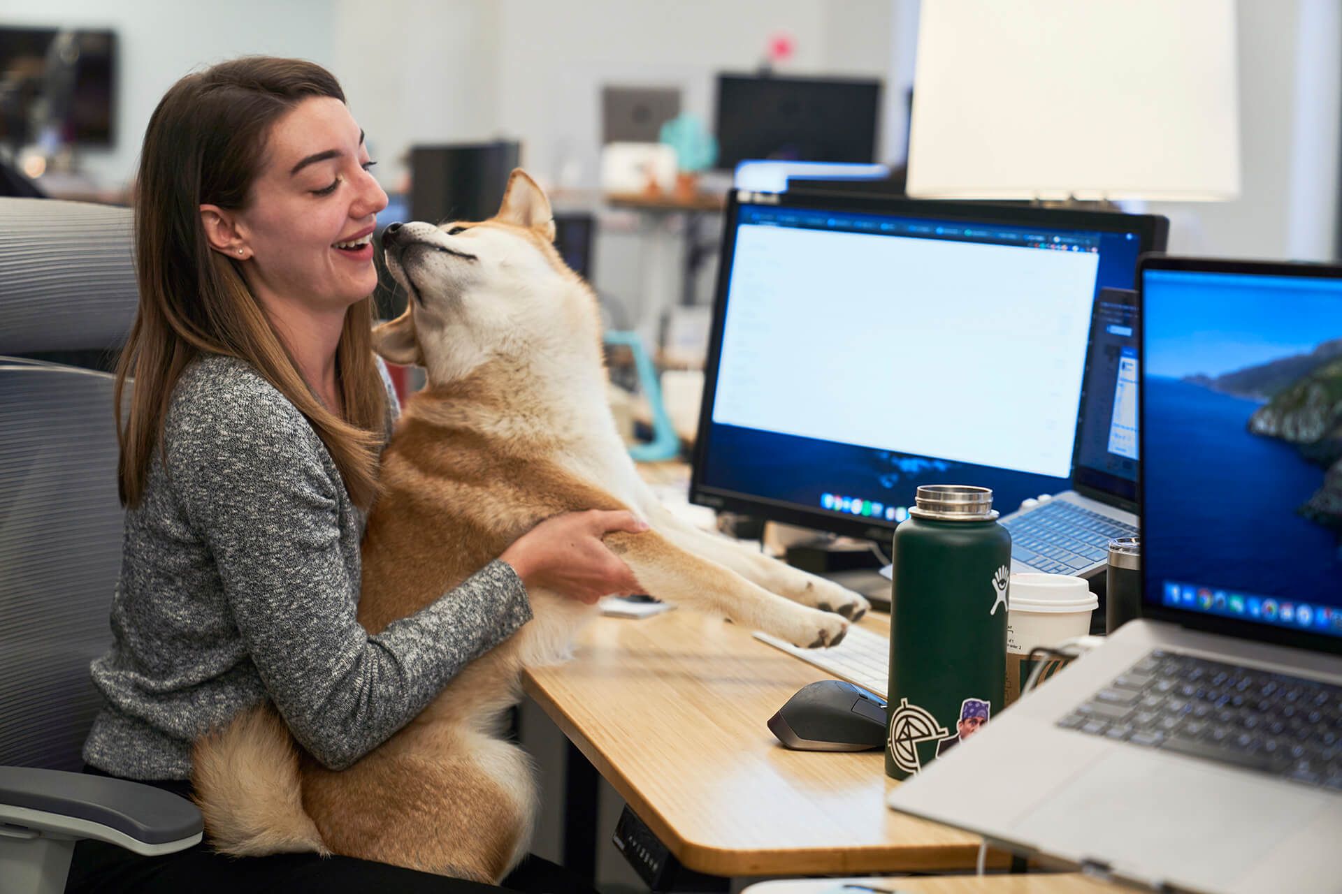 A Hologram employee enjoys a kiss from a Shiba Inu at her desk