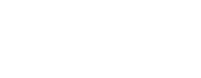 Intelligent cargo systems logo