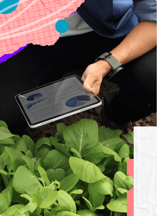 Farmer checking plant health on tablet