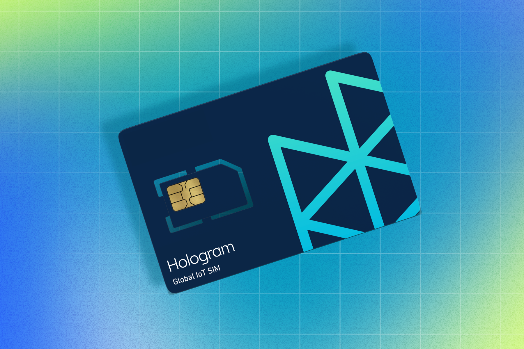 Hologram IoT SIM Card