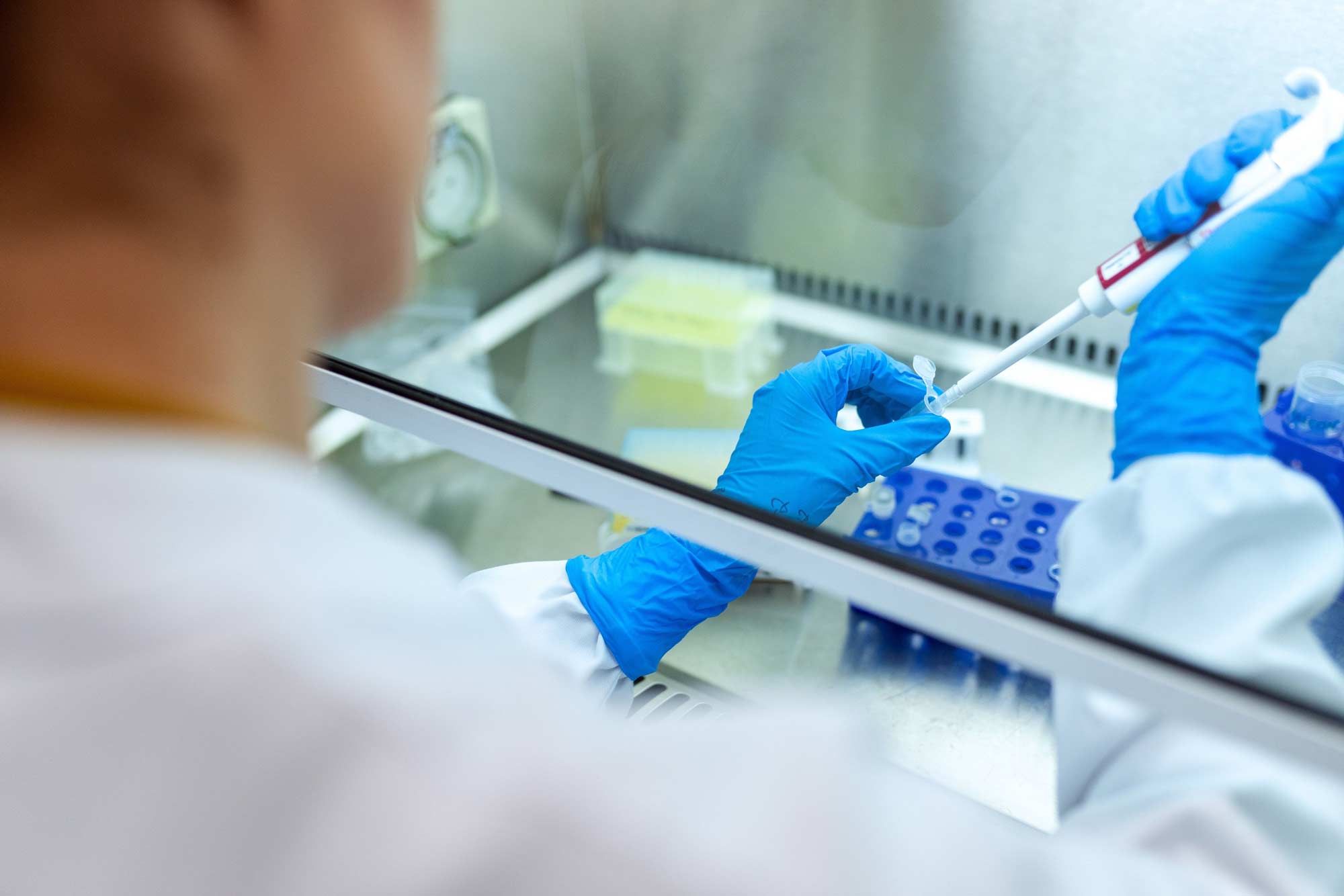 Scientist wearing gloves handling a petri dish