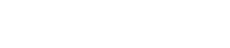 Intelligent Cargo Systems logo