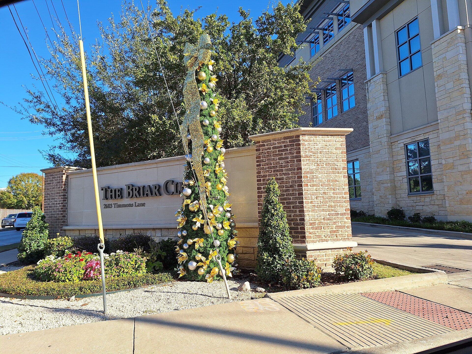 The Briar Club