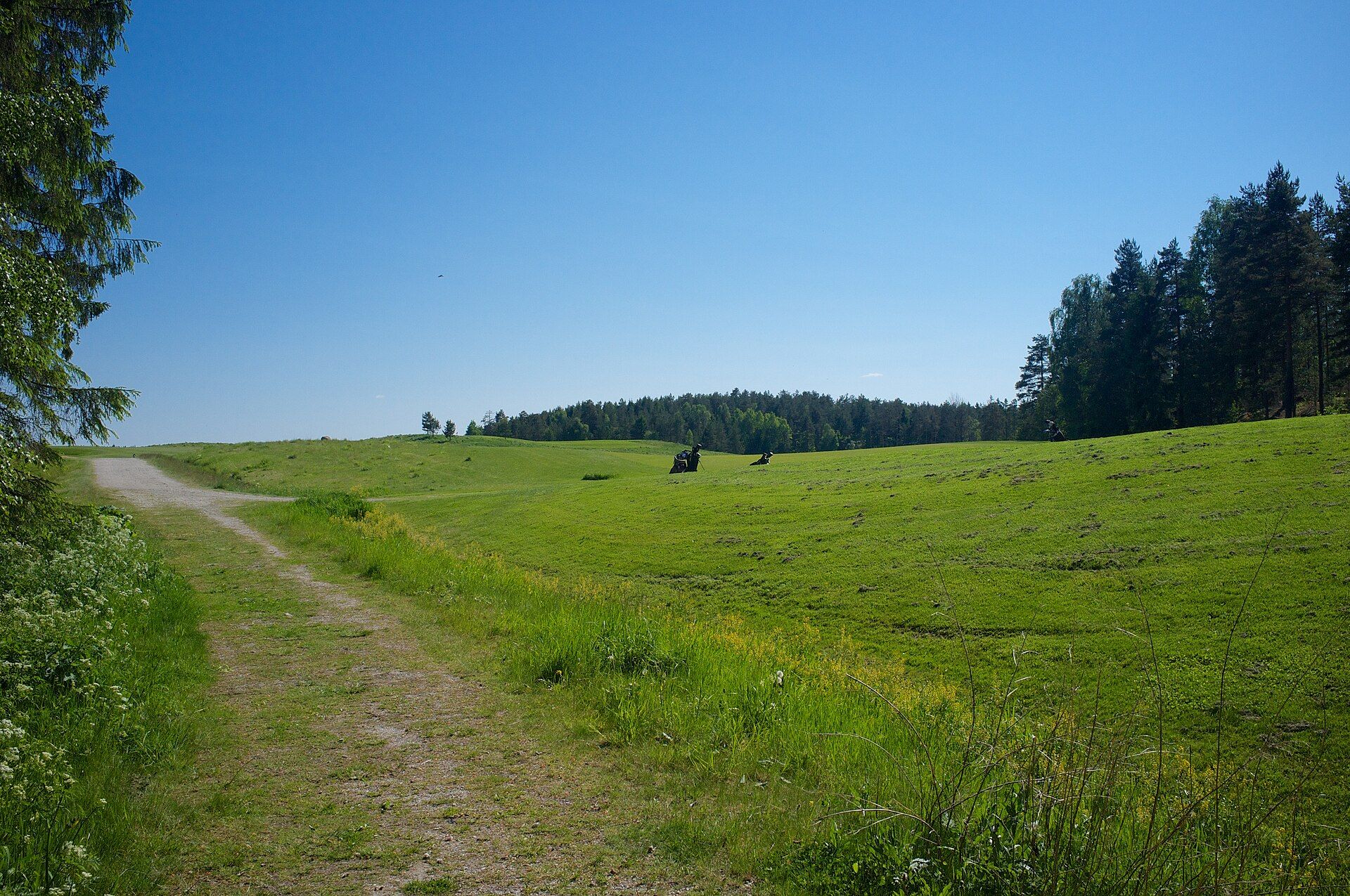 Grønmo GK