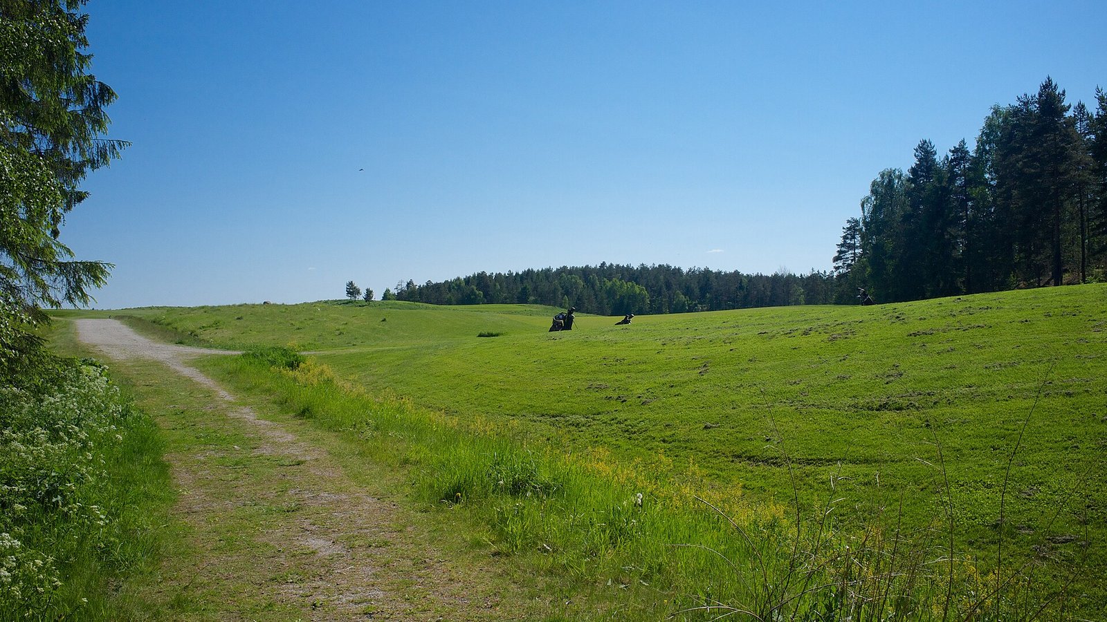 Grønmo GK