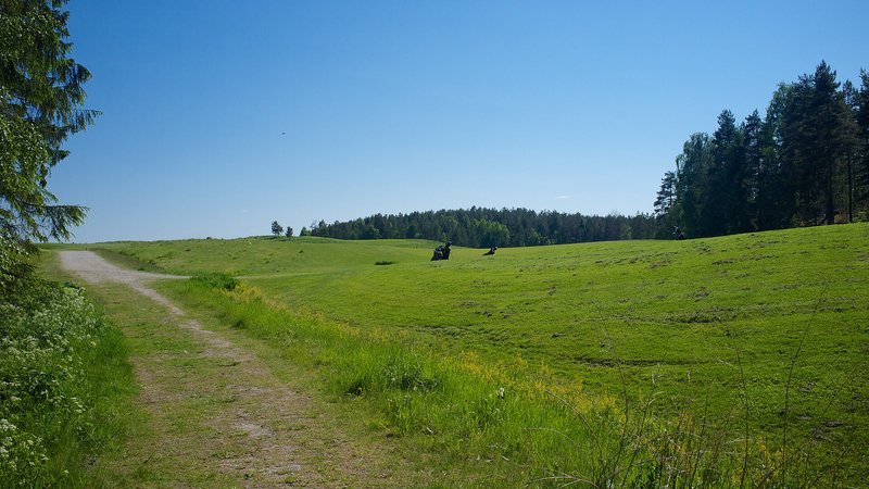 Grønmo GK