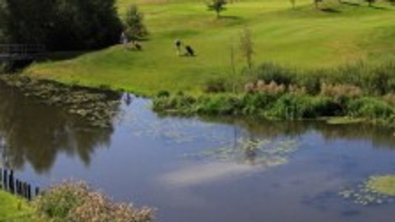Golfbaan De Stok