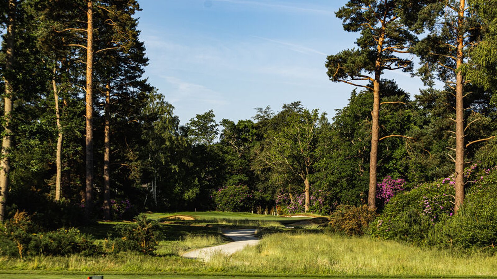 North Hants Golf Club