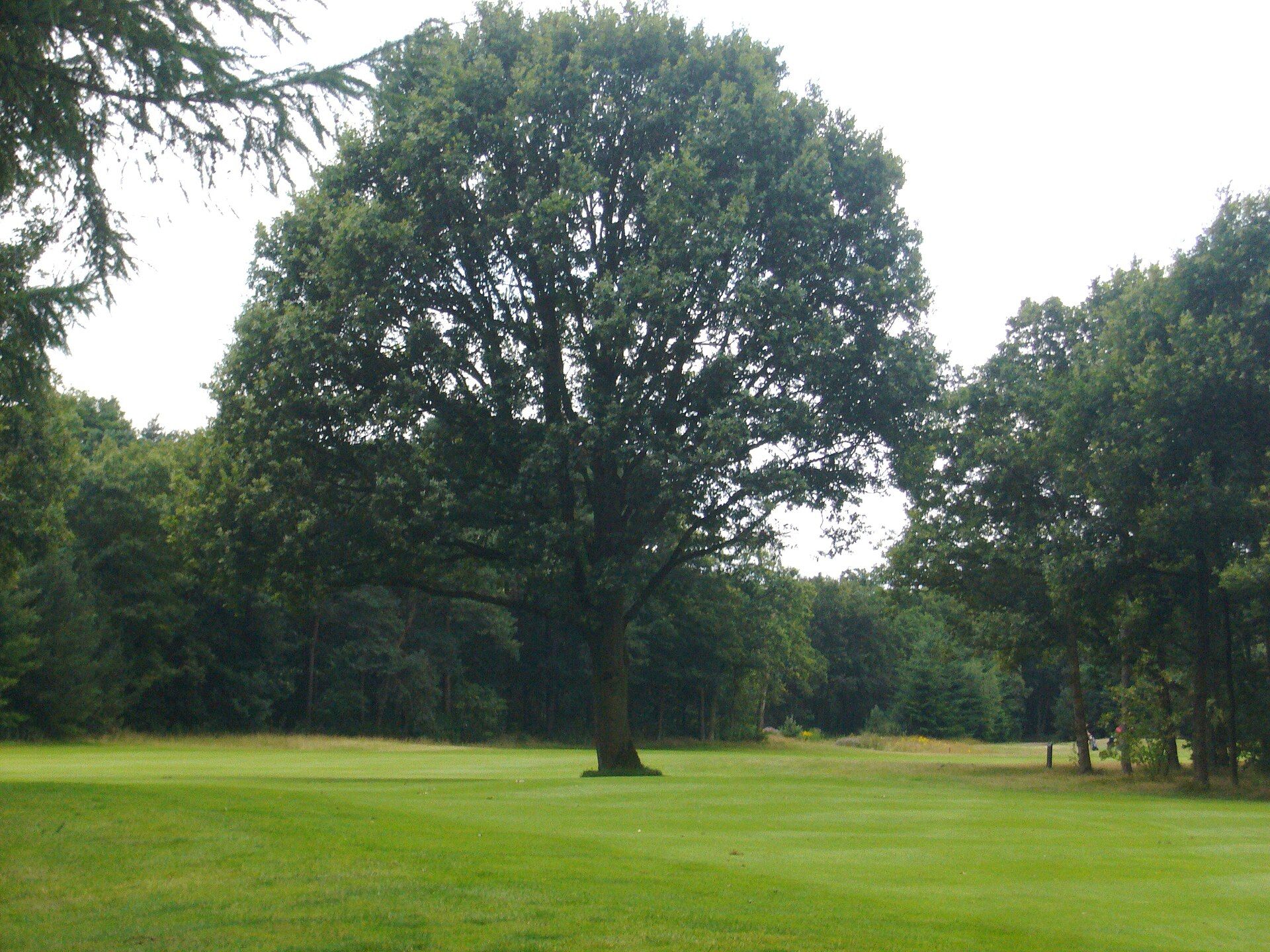 Oosterhoutse Golf Club