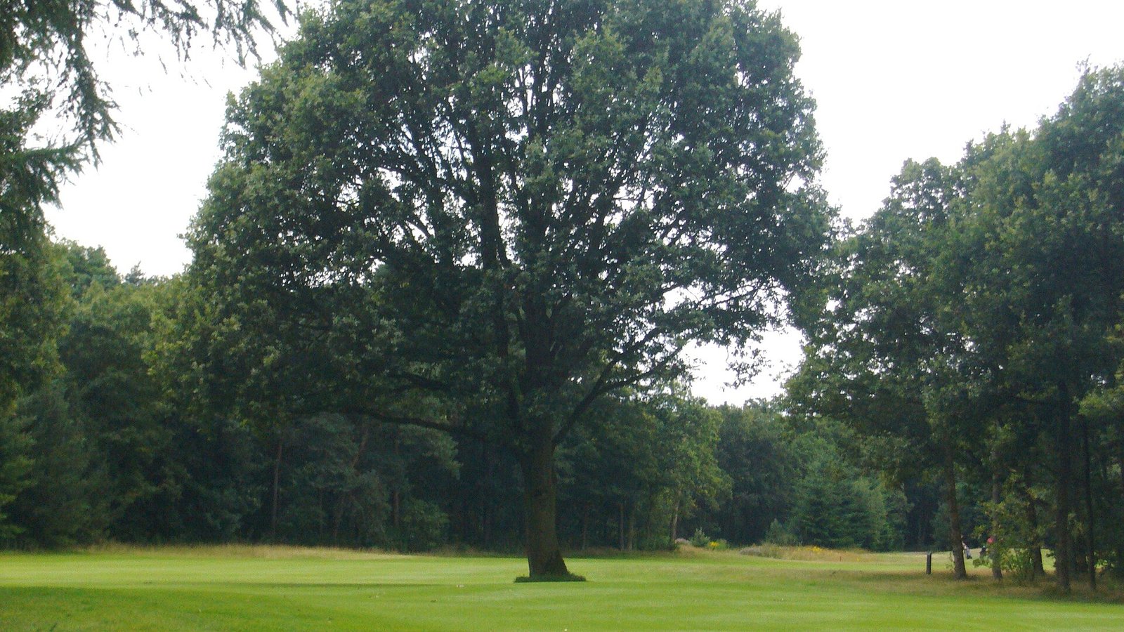 Oosterhoutse Golf Club
