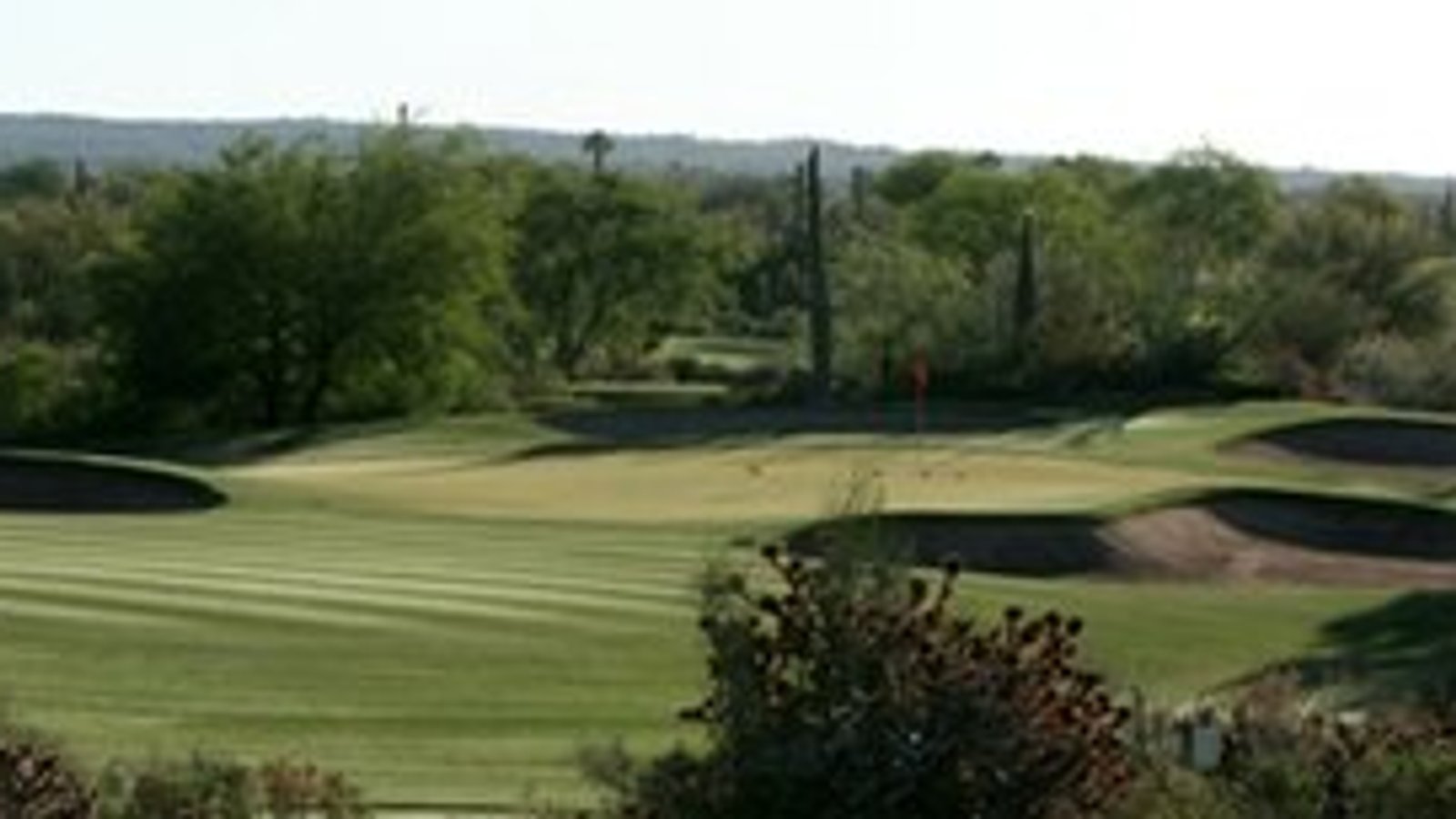 Desert Forest Golf Club