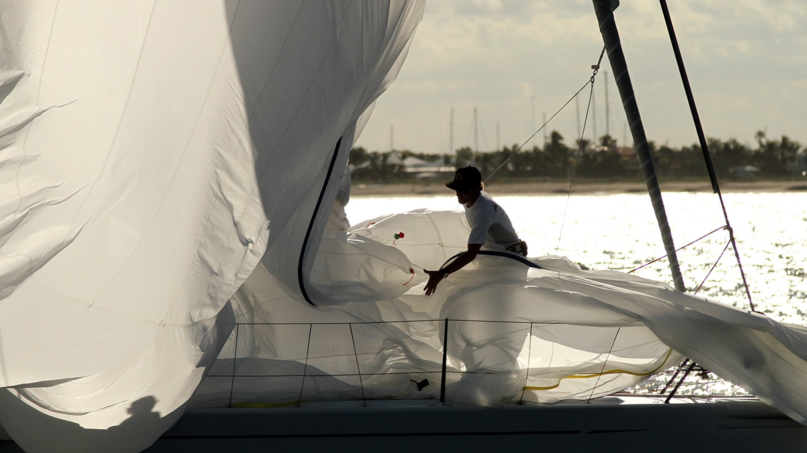 Sailfish Club of Florida