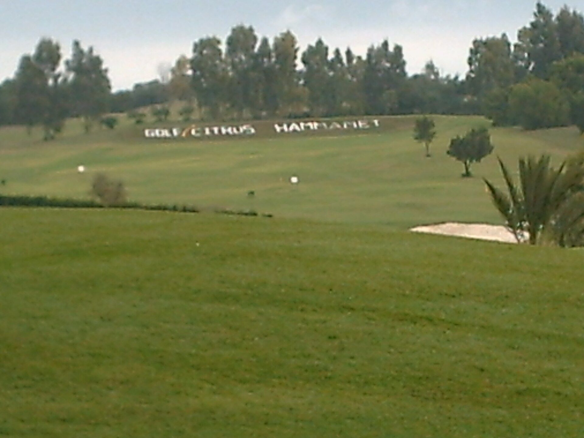 Golf course Citrus