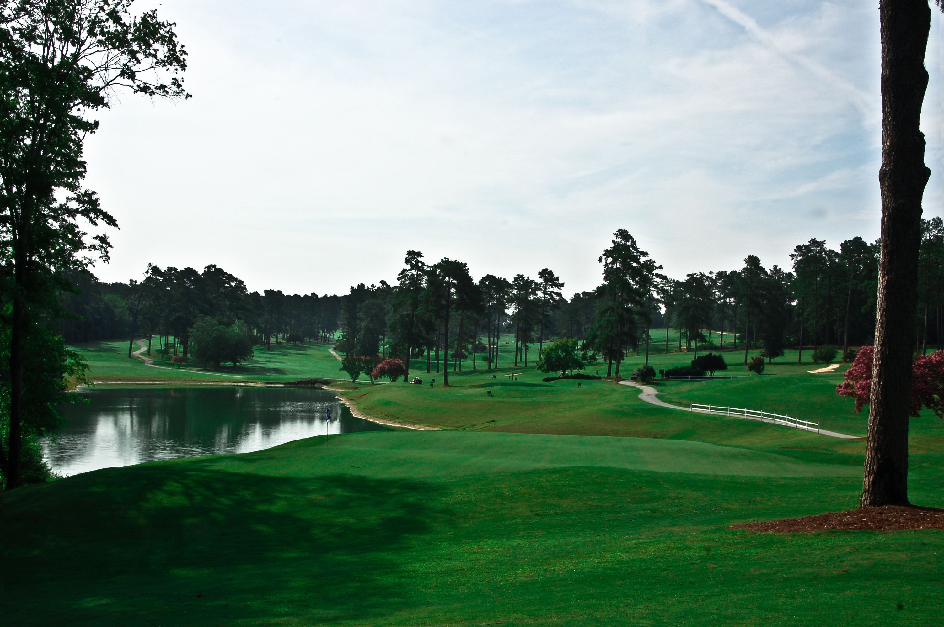 Forest Hills Golf Club