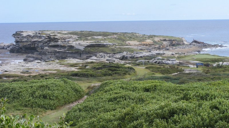New South Wales Golf Club