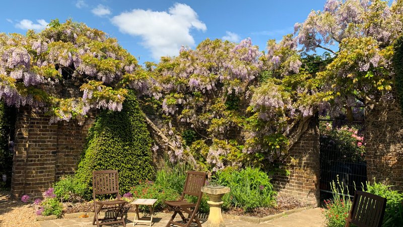 Roehampton Club