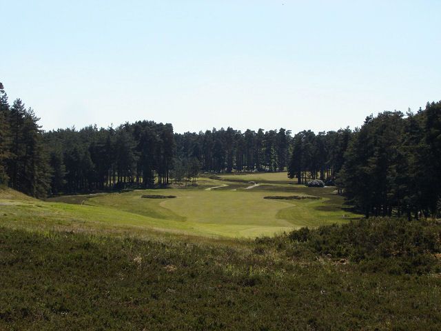 Swinley Forest Golf Club